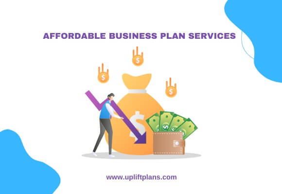 Types of business plan