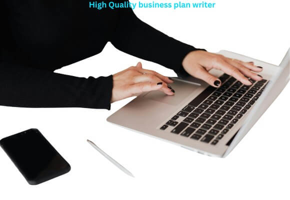 Top business plan writer