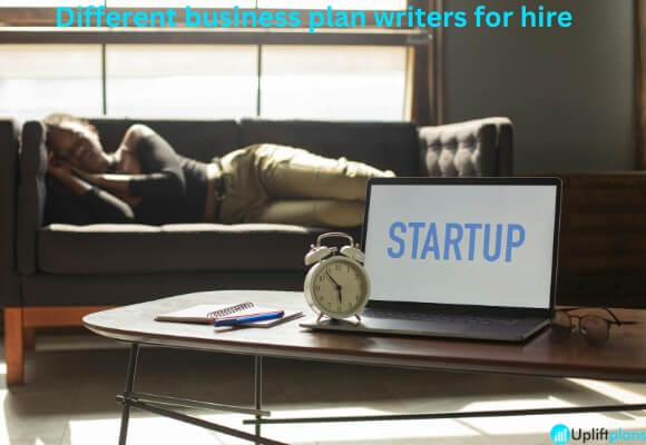 Types of business plan writers Different Business plan writers for hire