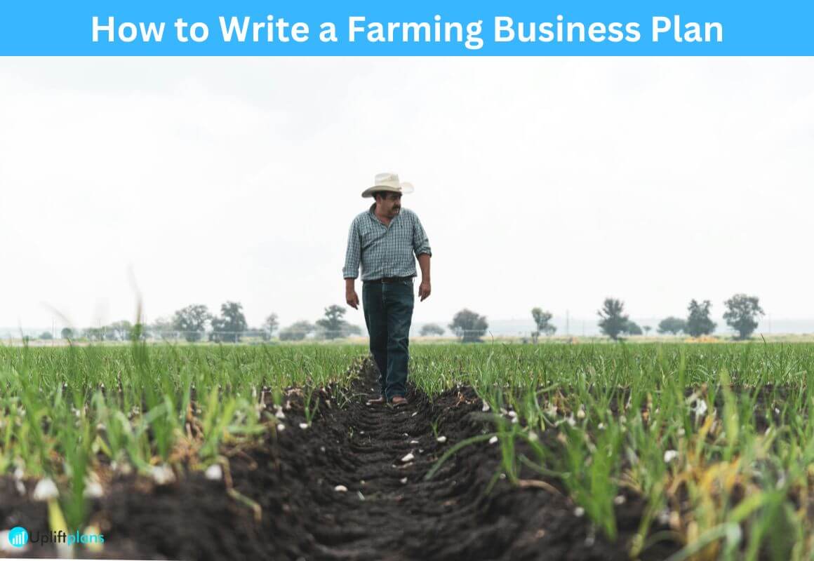 Writing a farming business plan