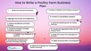 How to write Poultry Farming Business Plan 