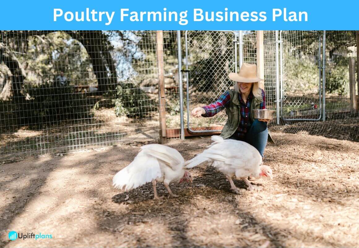 Writing a Poultry Farming Business Plan